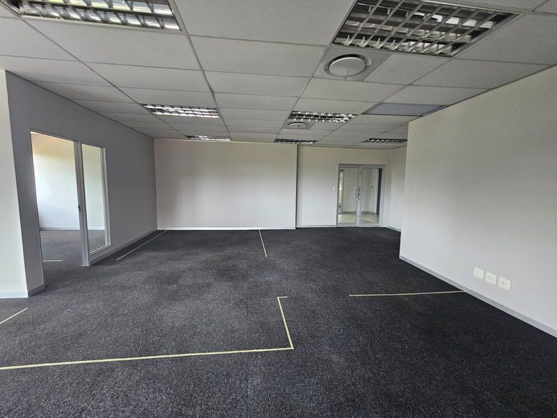 A spacious, empty open-plan office area featuring a suspended ceiling, recessed lighting, and dark carpeting, suitable for a professional workspace layout.