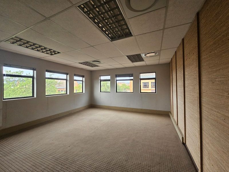 An empty, well-lit office space featuring a suspended ceiling, recessed lighting, large windows, and textured wall paneling, suitable for a professional workspace.