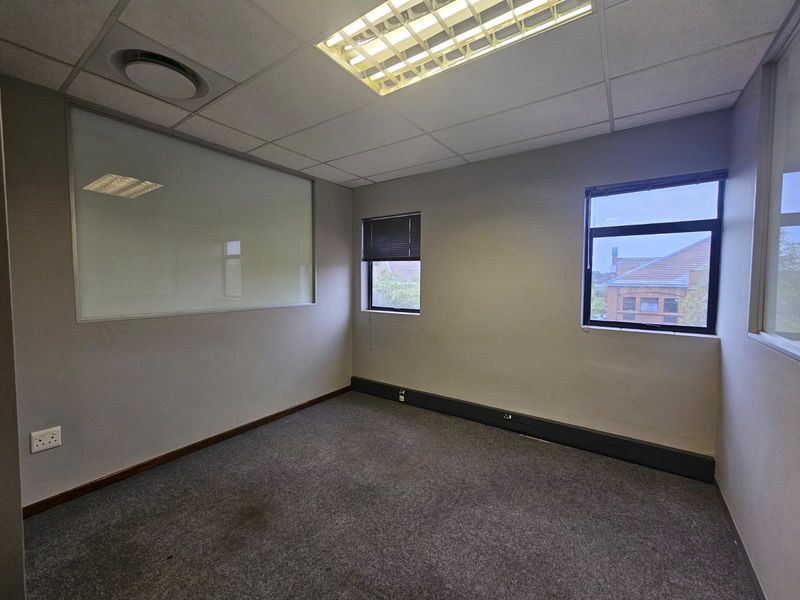 A vacant office space featuring carpeted flooring, suspended ceilings with recessed lighting, and large windows providing natural light.