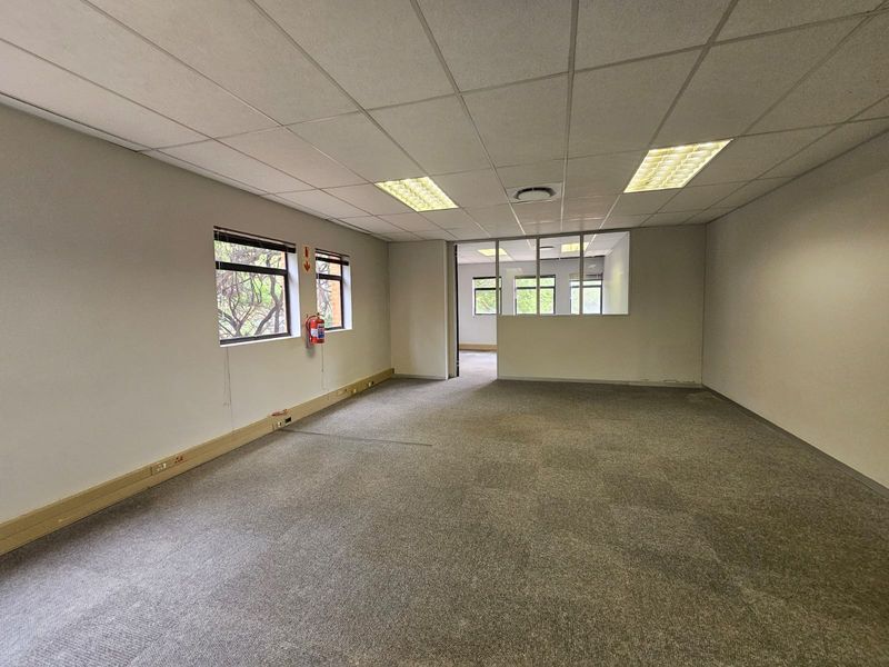 An empty, open-plan office space featuring a suspended ceiling, recessed lighting, carpeted flooring, and a glass partition wall.