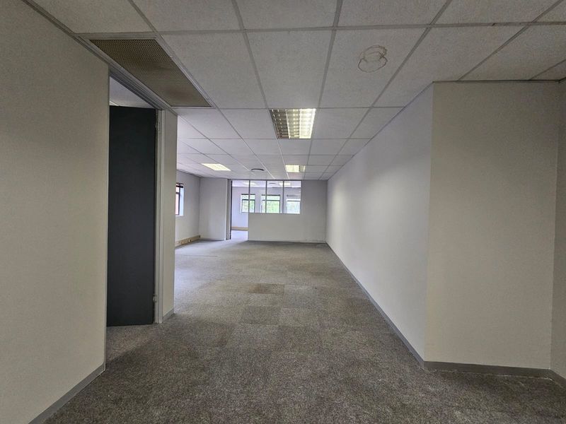 An empty, open-plan office space featuring a suspended ceiling, recessed lighting, and carpeted flooring, suitable for a professional workspace layout.
