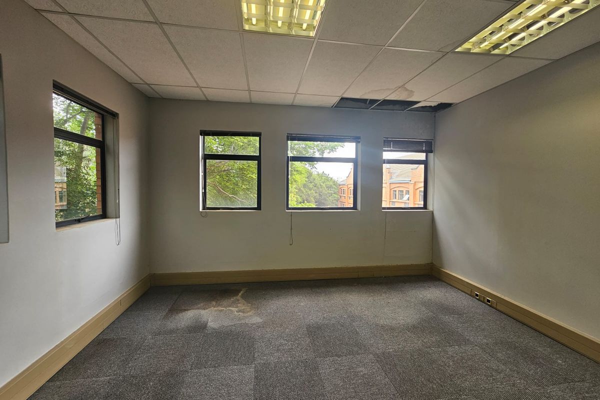 An empty office space featuring carpet tiles, recessed lighting, and multiple windows. The room requires maintenance due to visible ceiling and flooring damage.