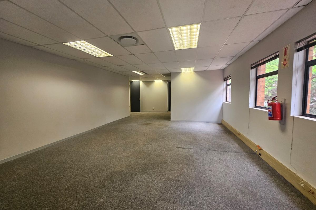 An empty, open-plan office space featuring a suspended ceiling, recessed lighting, and carpeted flooring, suitable for a professional workspace.