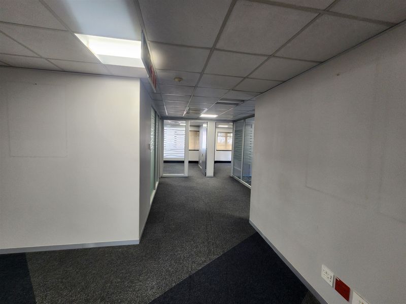 A vacant office hallway featuring suspended ceilings, recessed lighting, glass partitions, and carpeted flooring, providing a clean and professional workspace layout.