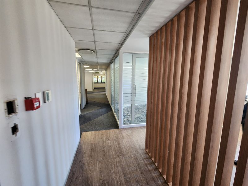 Modern office hallway featuring a timber slat feature wall, glass partitions, and a mix of carpet and laminate flooring.