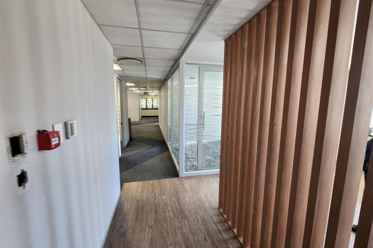 Modern office hallway featuring a timber slat feature wall, glass partitions, and a mix of carpet and laminate flooring.