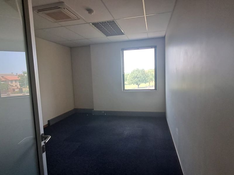 A vacant office space featuring a suspended ceiling, recessed lighting, and dark carpeting, offering a functional environment for professional use.