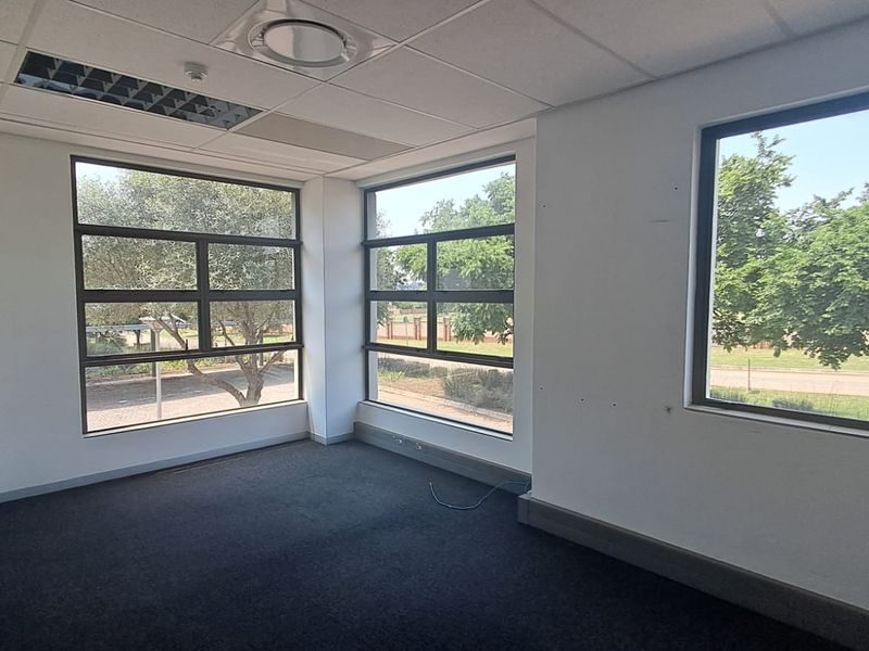 A bright, empty office space featuring large windows, suspended ceiling tiles, recessed lighting, and dark carpeting, suitable for a professional workspace.