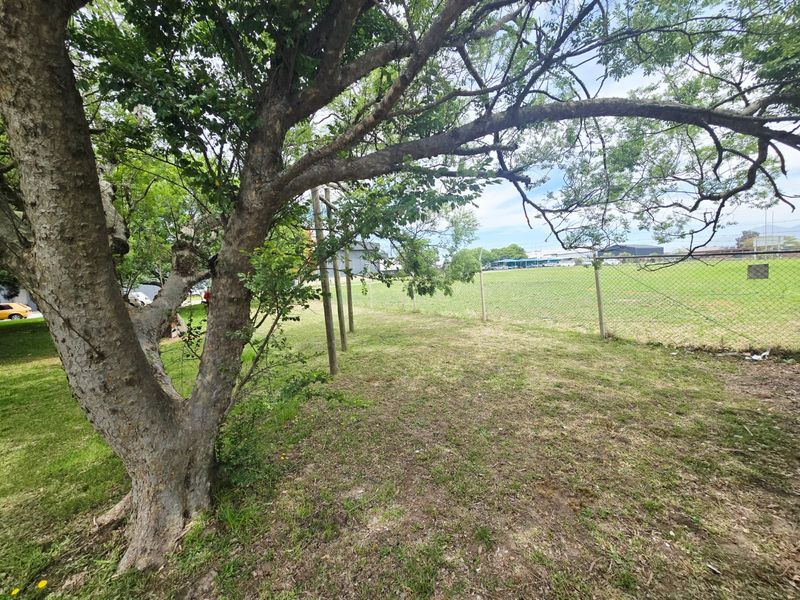 A view of a grassy vacant commercial plot featuring mature trees and perimeter chain-link fencing.