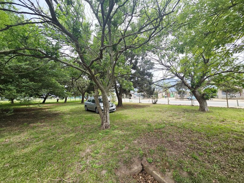 A spacious, level vacant commercial plot featuring mature trees and established grass, offering excellent visibility and accessibility from the adjacent road.