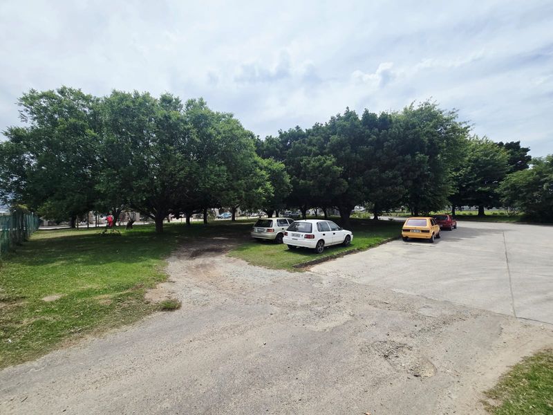 A view of a commercial vacant land plot featuring a concrete driveway, mature trees, and a grass lawn area.