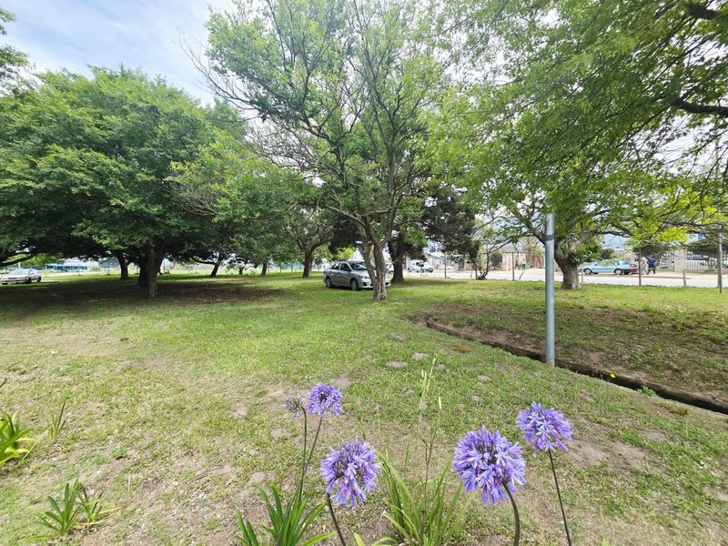 A spacious, well-maintained grassy plot featuring mature trees and established landscaping, suitable for commercial development.