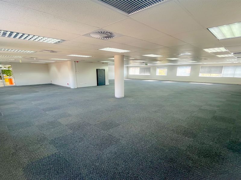 A spacious, open-plan office area featuring carpeted flooring, suspended ceilings with recessed lighting, and large windows providing ample natural light.