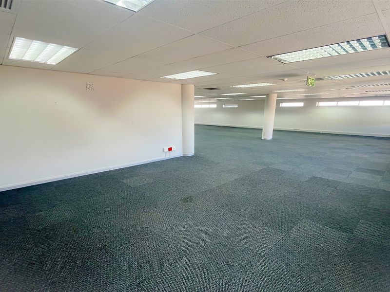 Spacious open-plan office area featuring suspended ceilings, recessed lighting, and carpeted flooring, providing a versatile workspace ready for custom configuration.