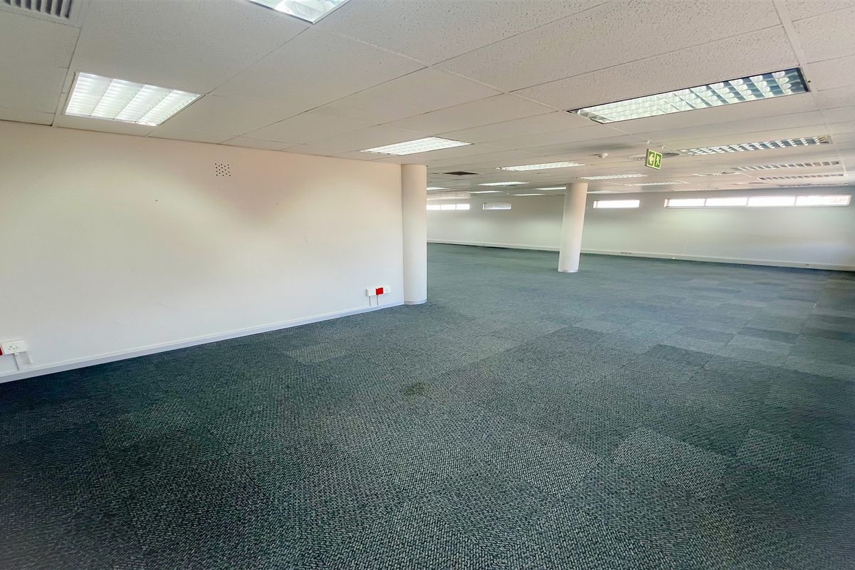 Spacious open-plan office area featuring suspended ceilings, recessed lighting, and carpeted flooring, providing a versatile workspace ready for custom configuration.