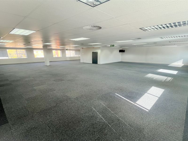 A spacious, open-plan office area featuring suspended ceilings, recessed lighting, and carpeted flooring, offering a versatile workspace layout.