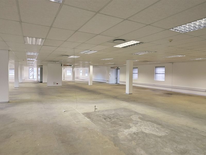 A large, open-plan office space featuring a suspended ceiling, recessed lighting, and exposed concrete flooring, ready for custom fit-out.