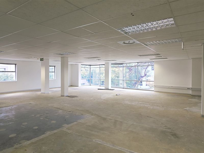 Spacious open-plan office area featuring large windows, structural columns, suspended ceilings with recessed lighting, and exposed concrete flooring ready for custom finishes.