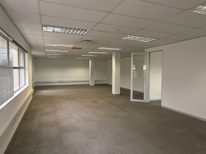 Spacious, open-plan office area featuring a suspended ceiling, recessed lighting, carpeted flooring, and large windows providing natural light.