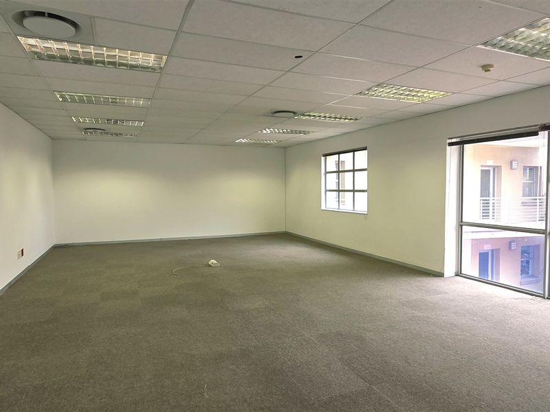 A spacious, empty office area featuring a suspended ceiling with recessed lighting, carpeted flooring, and large windows providing natural light.