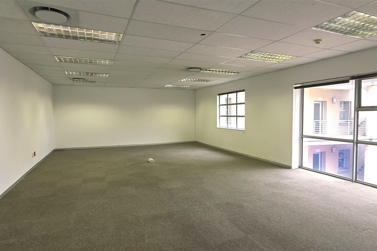 A spacious, empty office area featuring a suspended ceiling with recessed lighting, carpeted flooring, and large windows providing natural light.