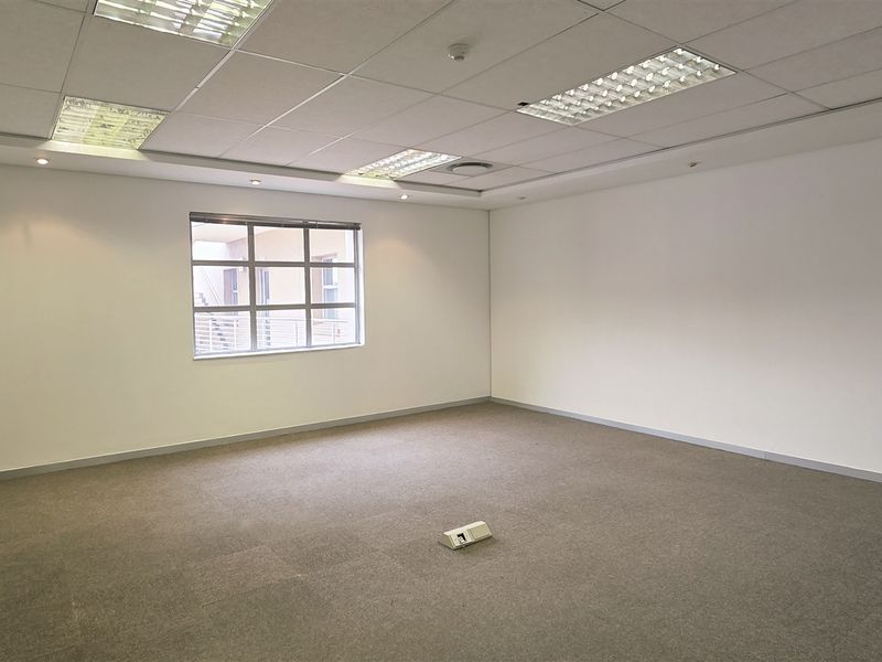 A clean, vacant office space featuring neutral carpet tiles, a suspended ceiling with recessed lighting, and a window providing natural light.