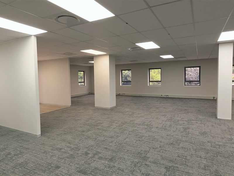 A spacious, open-plan office area featuring neutral carpeting, structural columns, and a suspended ceiling with recessed lighting.