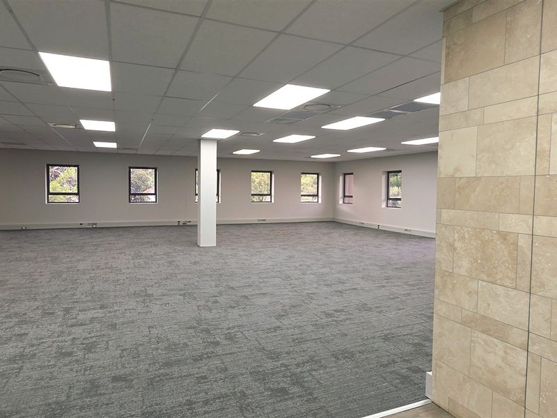 Spacious open-plan office area featuring a neutral carpet, suspended ceiling with recessed lighting, and a decorative stone feature wall.