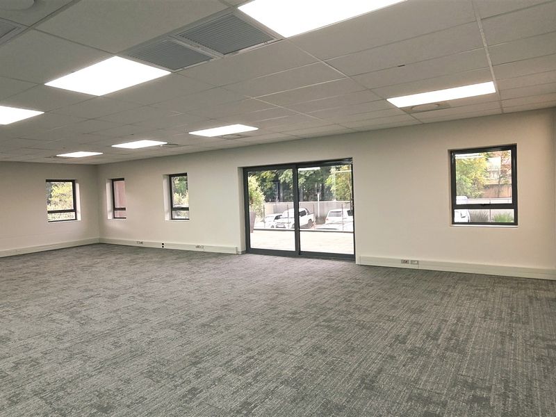 A spacious, empty open-plan office area featuring neutral carpeting, a suspended ceiling with recessed lighting, and large windows providing ample natural light.