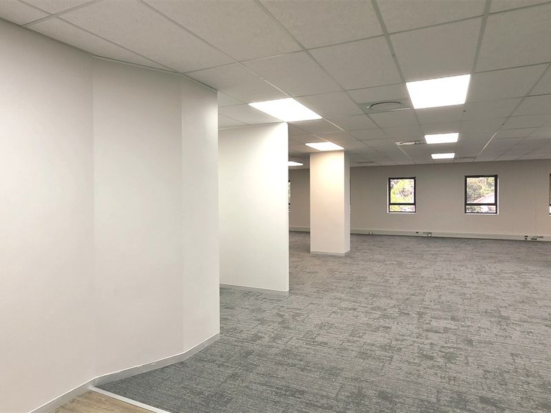 A spacious, open-plan office area featuring a suspended ceiling, recessed lighting, and neutral carpet tiles, providing a clean and professional workspace.