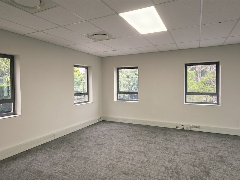 A bright, empty office space featuring neutral walls, carpeted flooring, suspended ceilings with recessed lighting, and multiple windows providing natural light.