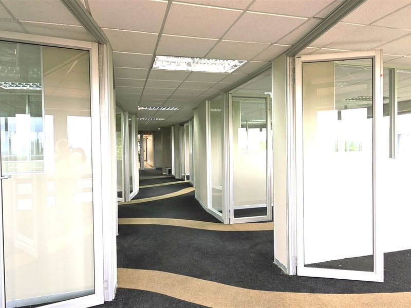 A bright office hallway featuring aluminum-framed glass partitions, suspended ceilings with recessed lighting, and patterned fitted carpeting throughout the corridor.