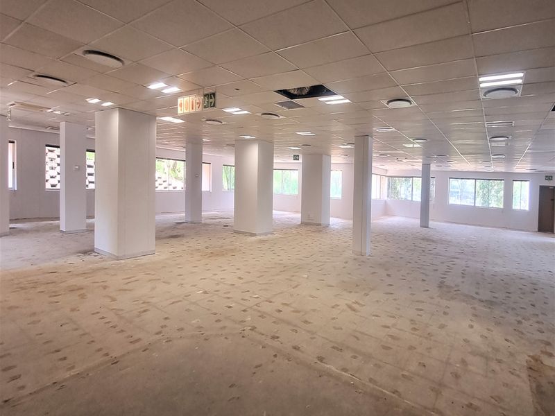 A large, open-plan office space featuring a suspended ceiling, structural columns, and ample natural light from multiple windows, currently in a vacant state.