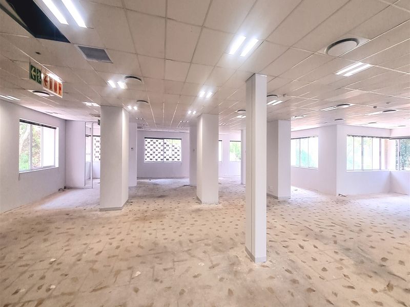 An open-plan office space featuring a suspended ceiling, structural columns, and large windows, currently in need of flooring and ceiling repairs.
