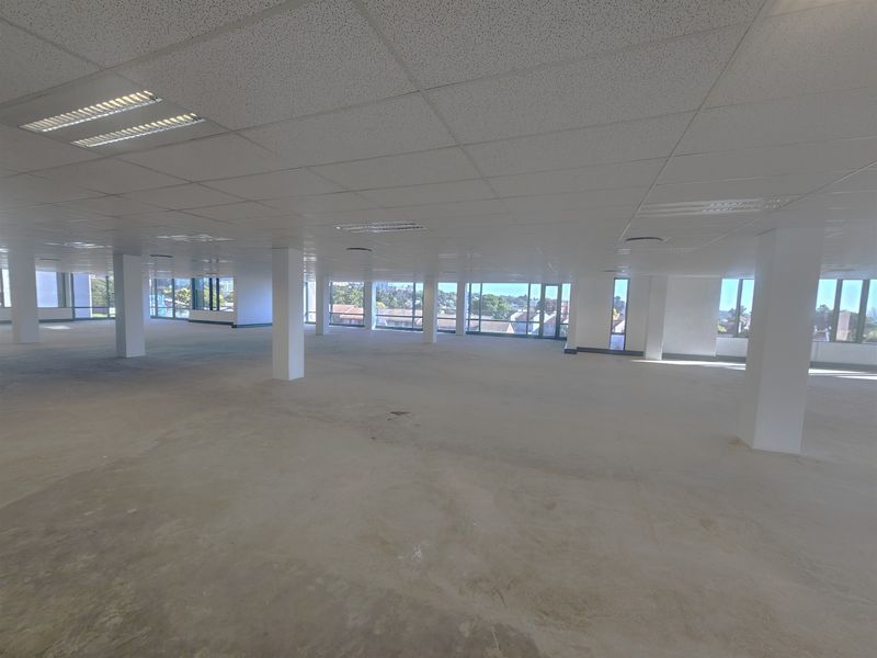 A large, open-plan office space featuring a suspended ceiling, recessed lighting, and expansive windows offering natural light and views.