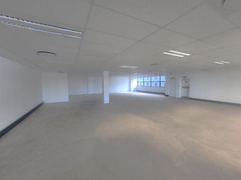 A spacious, open-plan office area featuring a suspended ceiling, recessed lighting, and large windows, providing a blank canvas for professional workspace customization.