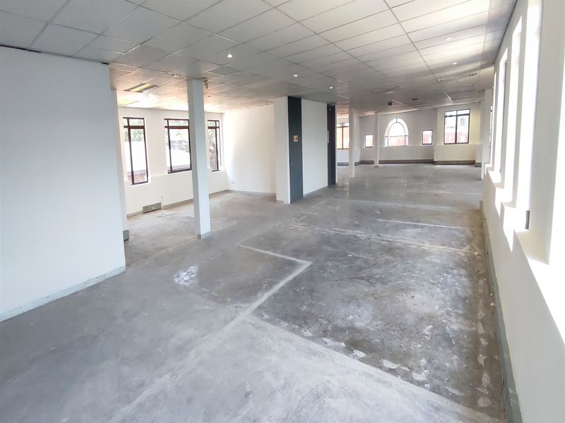 Spacious open-plan office area featuring a suspended ceiling, recessed lighting, and exposed concrete flooring, offering a blank canvas for custom workspace configuration.