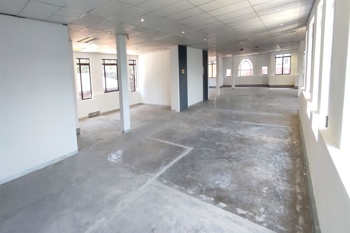 Spacious open-plan office area featuring a suspended ceiling, recessed lighting, and exposed concrete flooring, offering a blank canvas for custom workspace configuration.