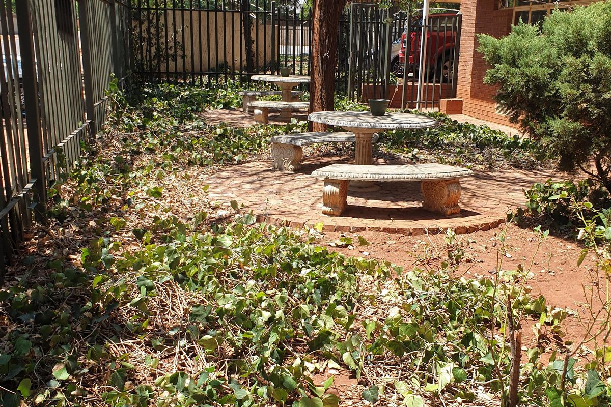A shaded outdoor garden area featuring brick paving and metal perimeter fencing, currently requiring landscaping and maintenance to improve the overall presentation.