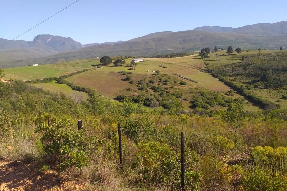 Peace, Simplicity & Scenic Beauty. Your Lifestyle Smallholding Awaits - Photo 2