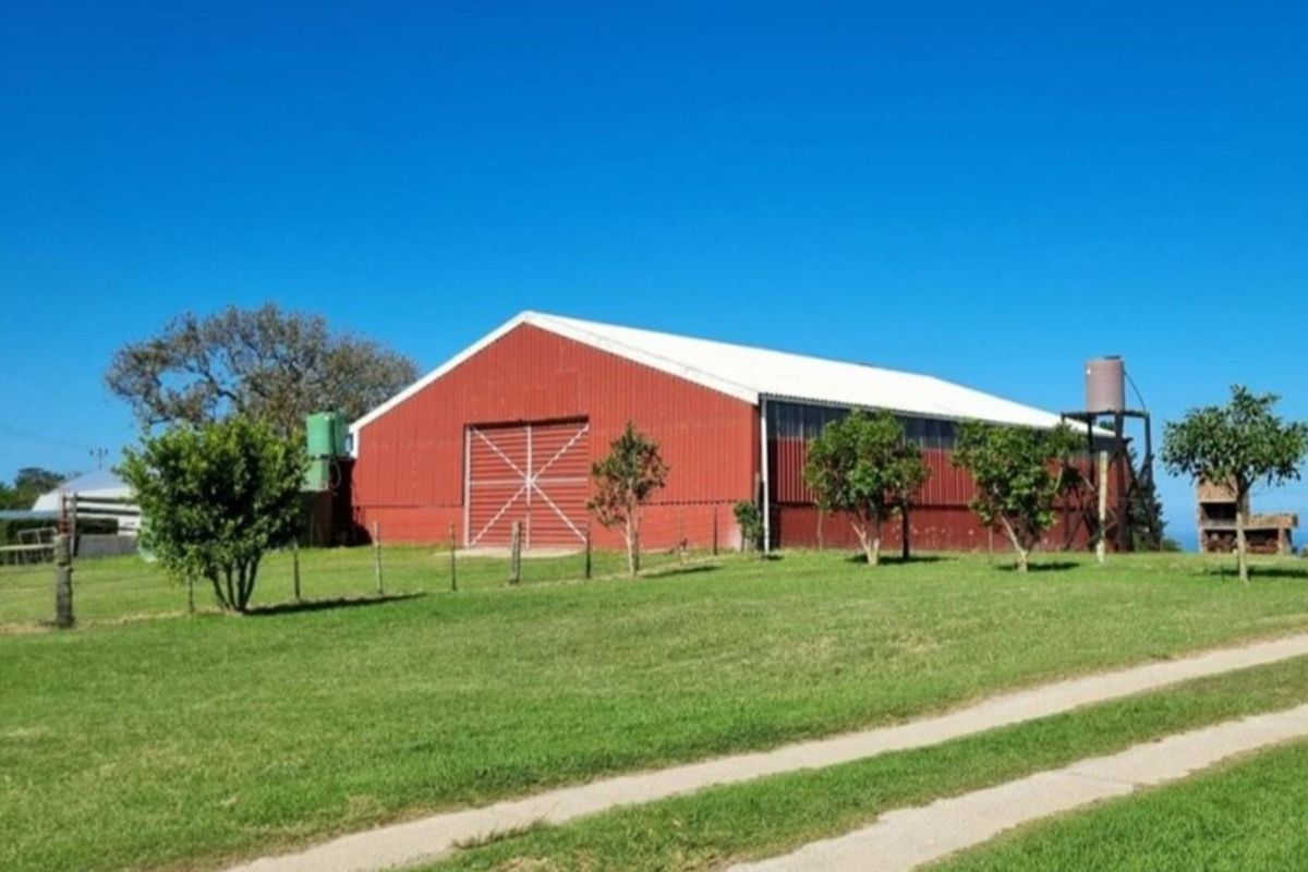 99ha Farm in Hansmoeskraal:  A Rare Opportunity - Photo 5