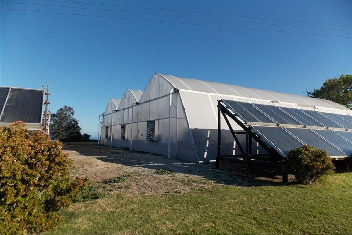 99ha Farm in Hansmoeskraal:  A Rare Opportunity - Photo 4