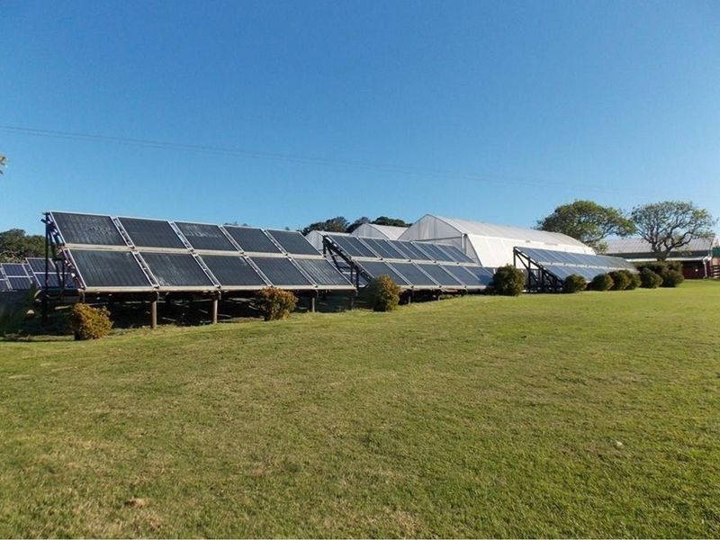 Ground-mounted solar panel array situated on a large grassy field, providing renewable energy infrastructure for the farm property.