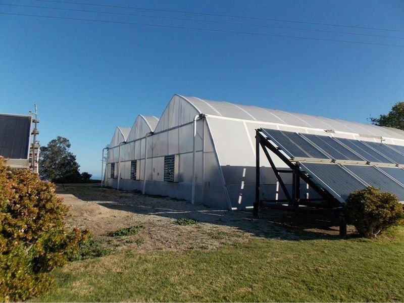 Exterior view of a large agricultural greenhouse structure featuring integrated solar panel arrays and ventilation systems on a farm property.