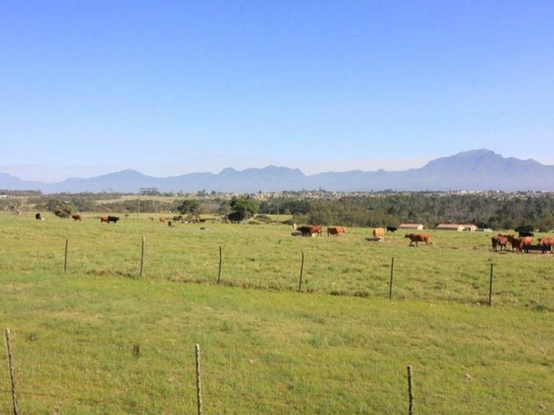 Expansive farm landscape featuring open grazing pastures, wire fencing, and scenic mountain views in the distance.