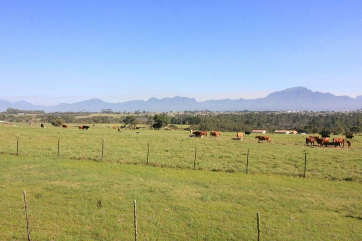 Expansive farm landscape featuring open grazing pastures, wire fencing, and scenic mountain views in the distance.