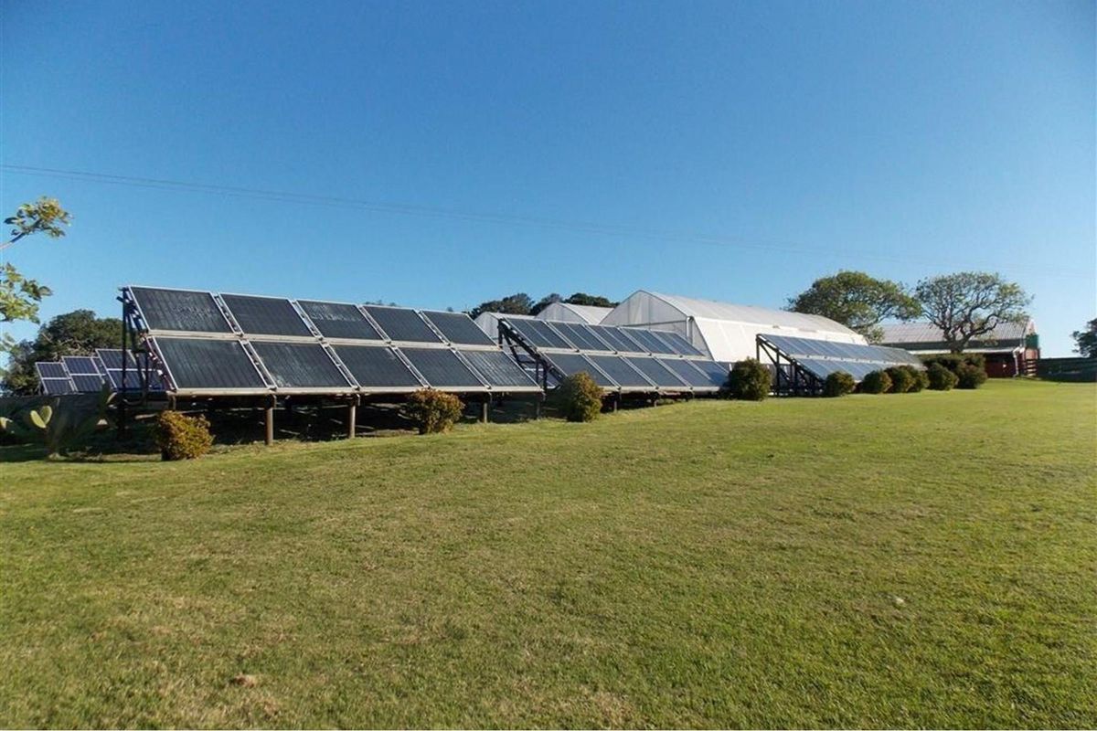 Ground-mounted solar panel array situated on a large grassy field, providing renewable energy infrastructure for the farm property.