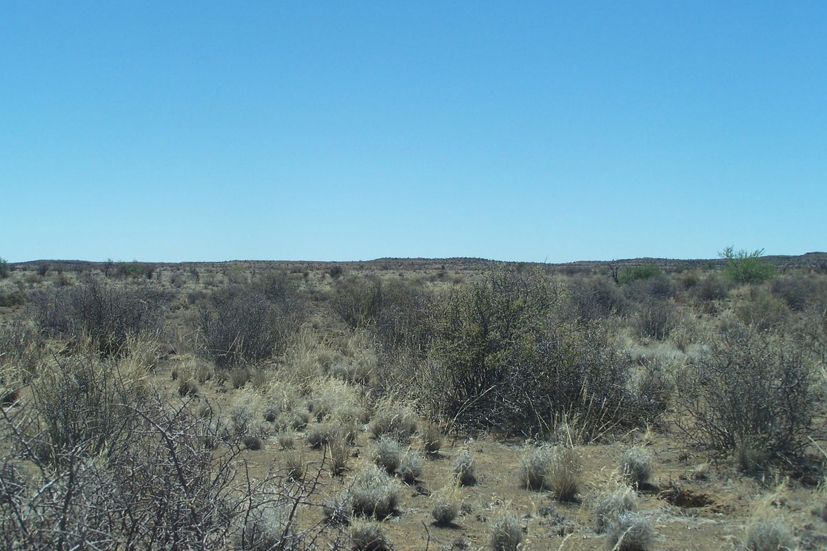 Karoo Farm in Prince Albert district - Photo 3