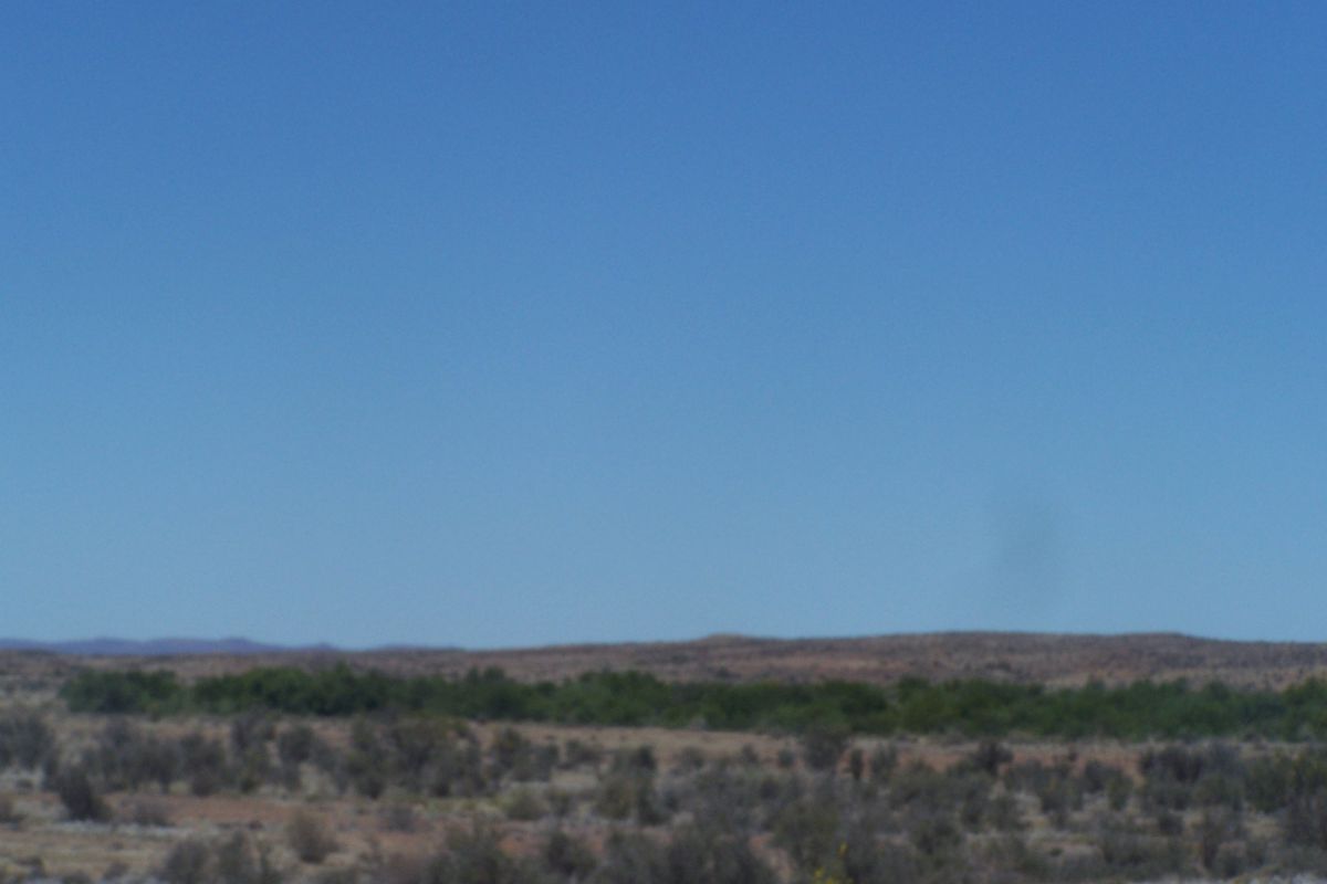 Karoo Farm in Prince Albert district - Photo 5