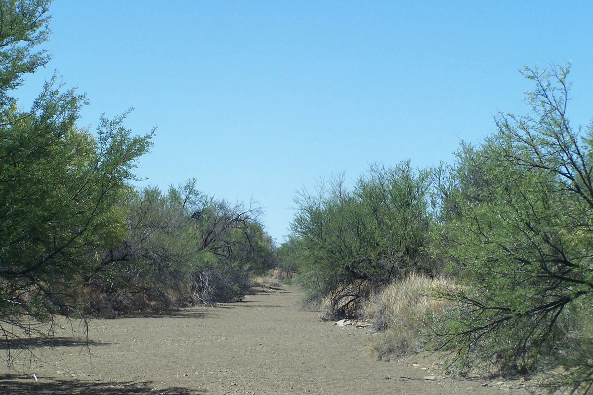 Karoo Farm in Prince Albert district - Photo 4